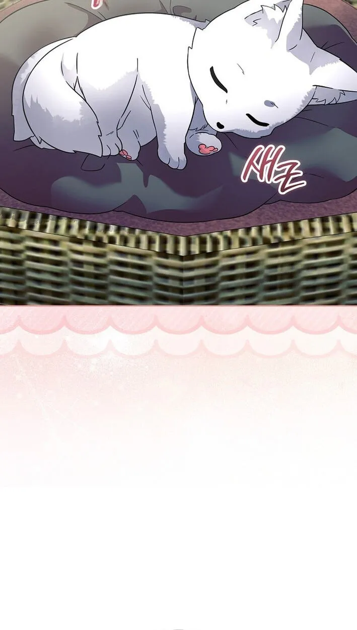 The Time-Limited Baby Doctor Doesn't Hide Her Smarts (Promo) Chapter 40 page 71 - 