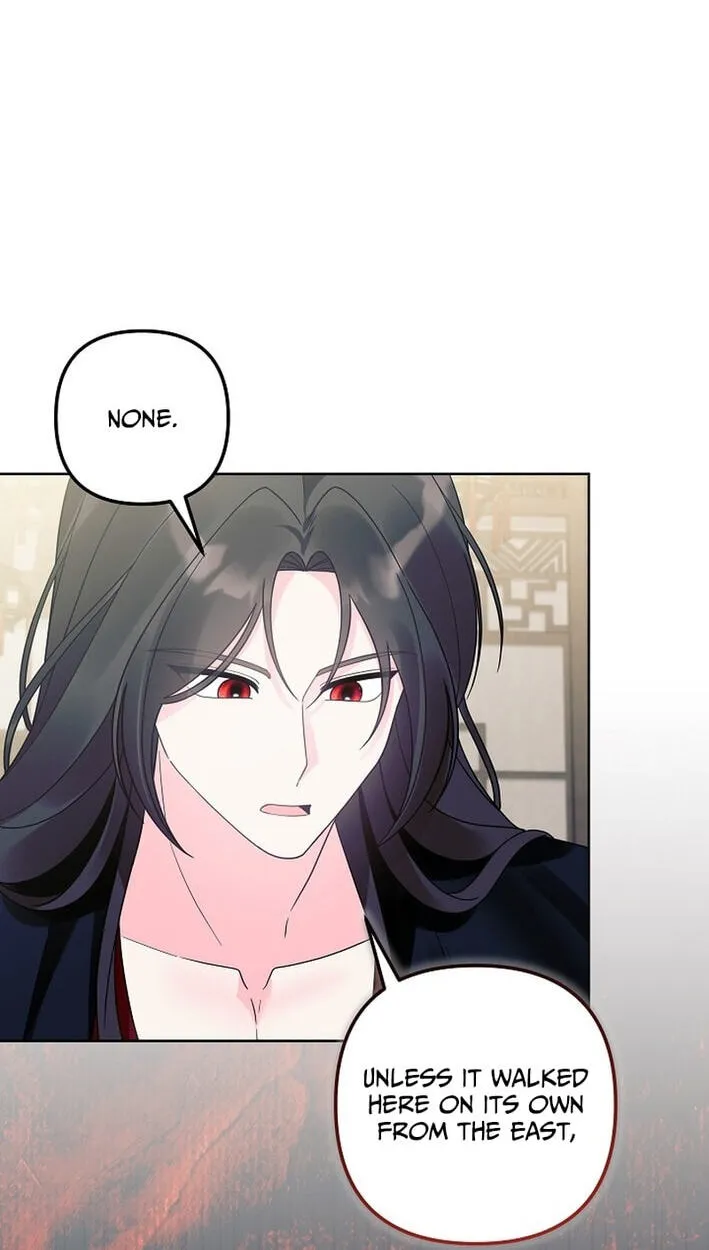 The Time-Limited Baby Doctor Doesn't Hide Her Smarts (Promo) Chapter 40 page 79 - 