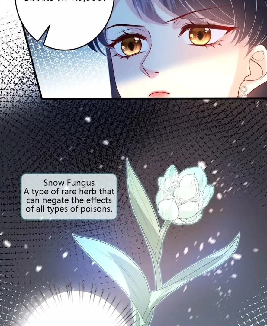 The True Heiress Is an All-Powerful Bigshot Chapter 137 page 34 - 