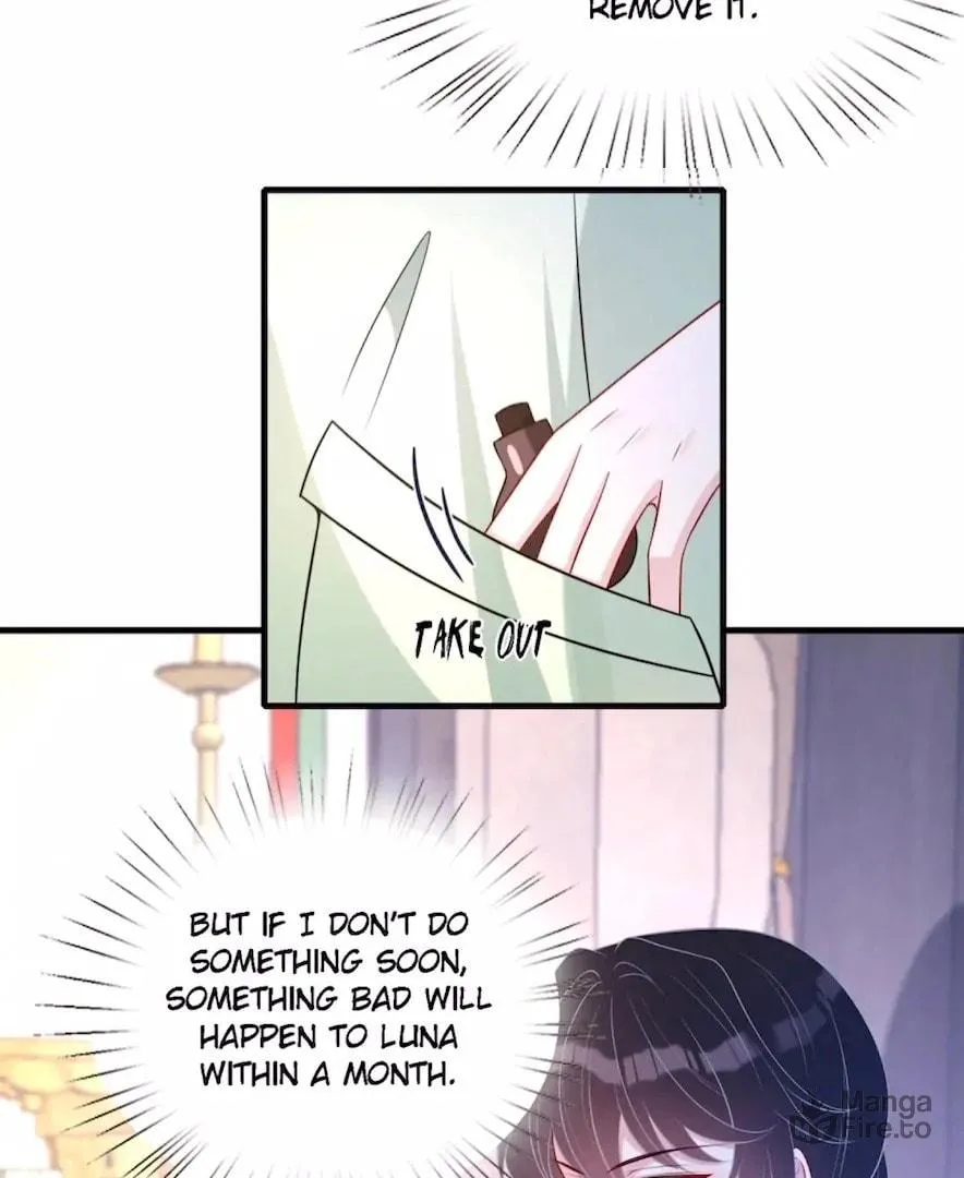 The True Heiress Is an All-Powerful Bigshot Chapter 158 page 25 - 