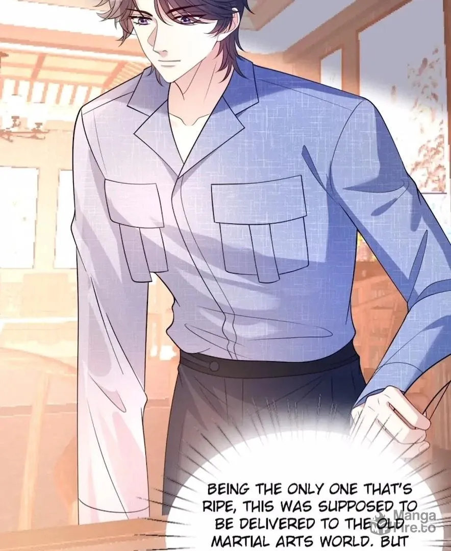 The True Heiress Is an All-Powerful Bigshot Chapter 162 page 25 - 