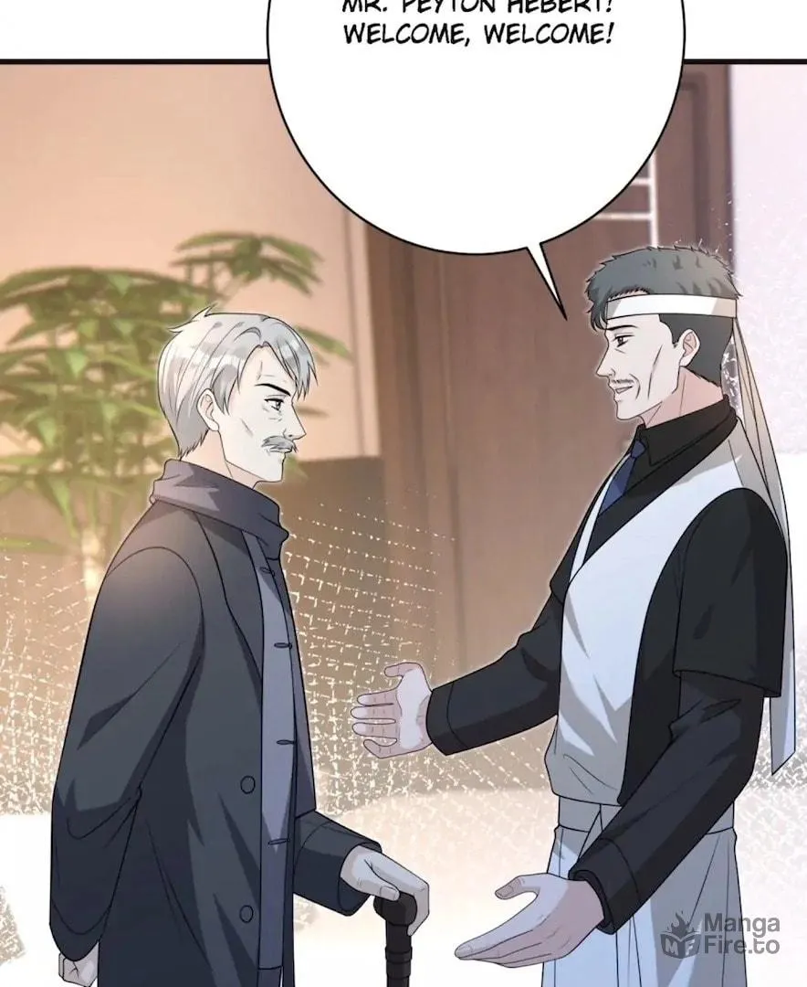 The True Heiress Is an All-Powerful Bigshot Chapter 172 page 3 - 