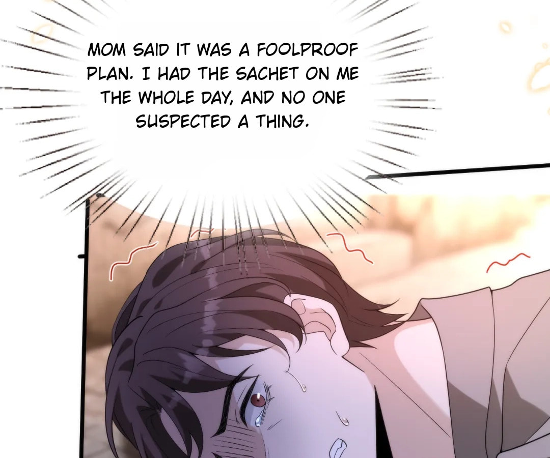 The True Heiress Is an All-Powerful Bigshot Chapter 191 page 13 - 