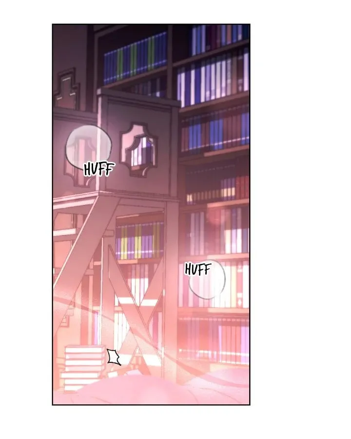 Read The Tutor