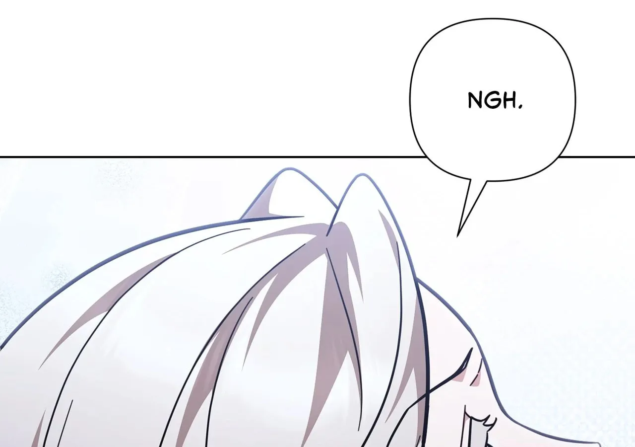 Read The Tutor
