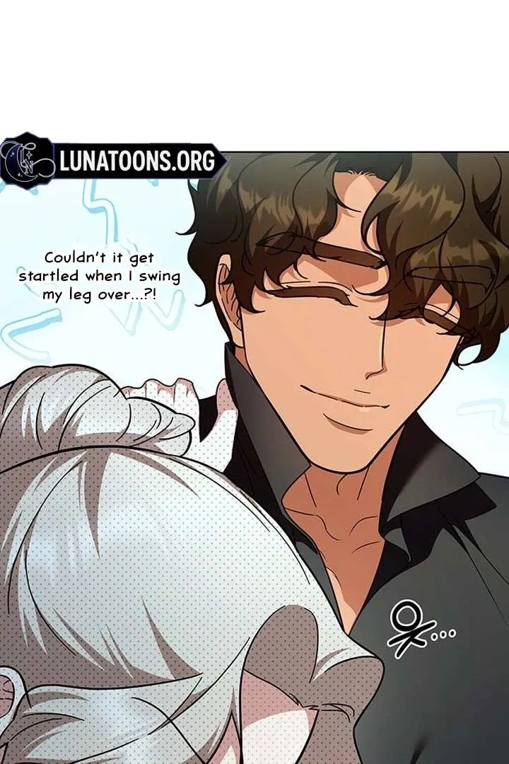Read The Tutor
