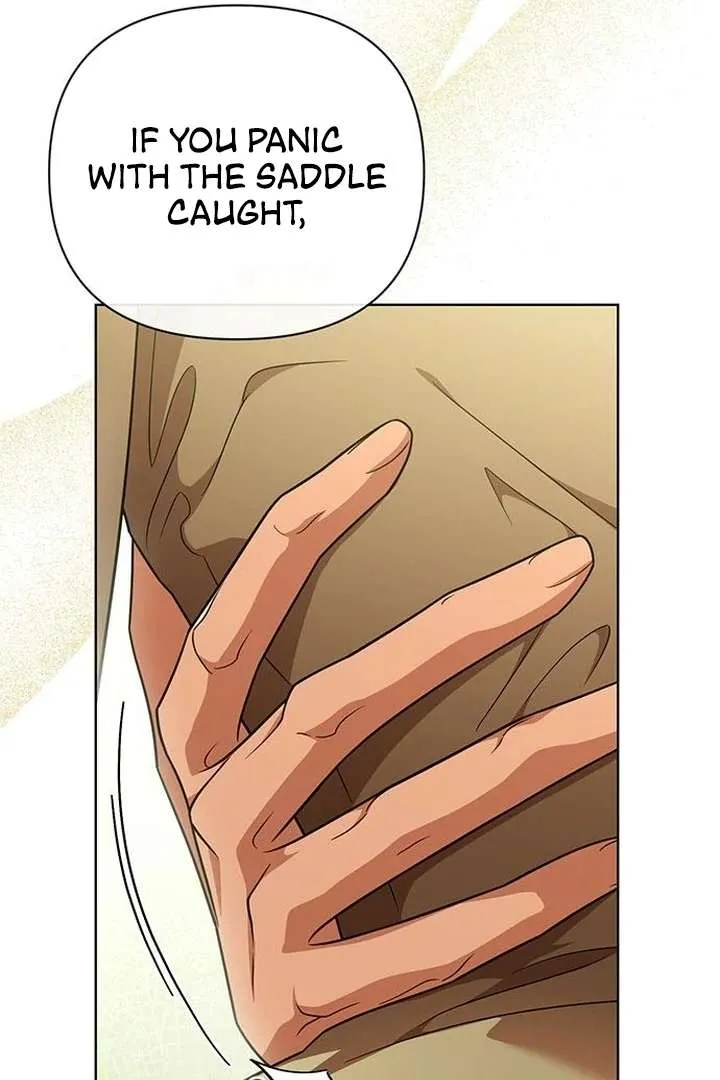 Read The Tutor