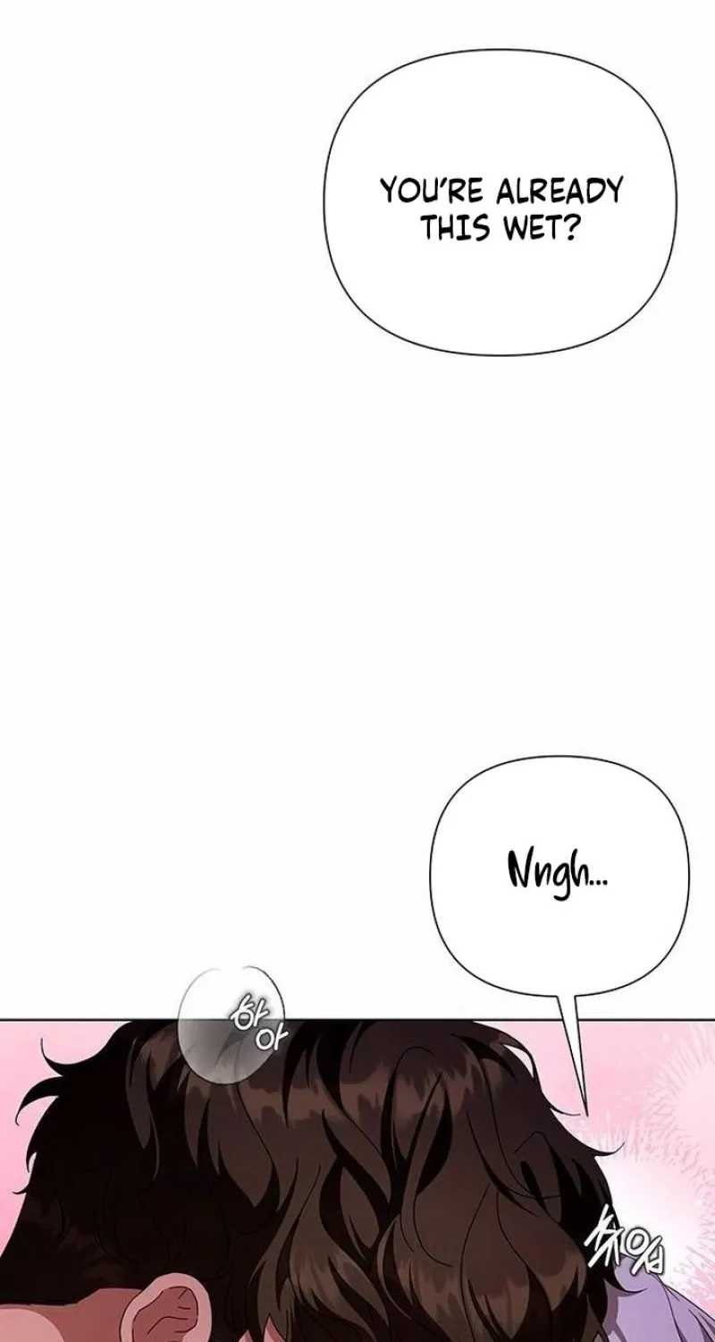 Read The Tutor