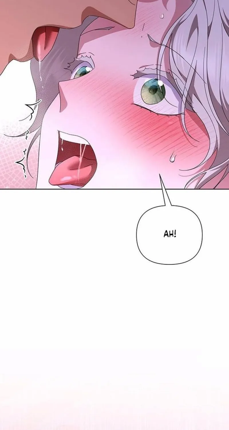 Read The Tutor