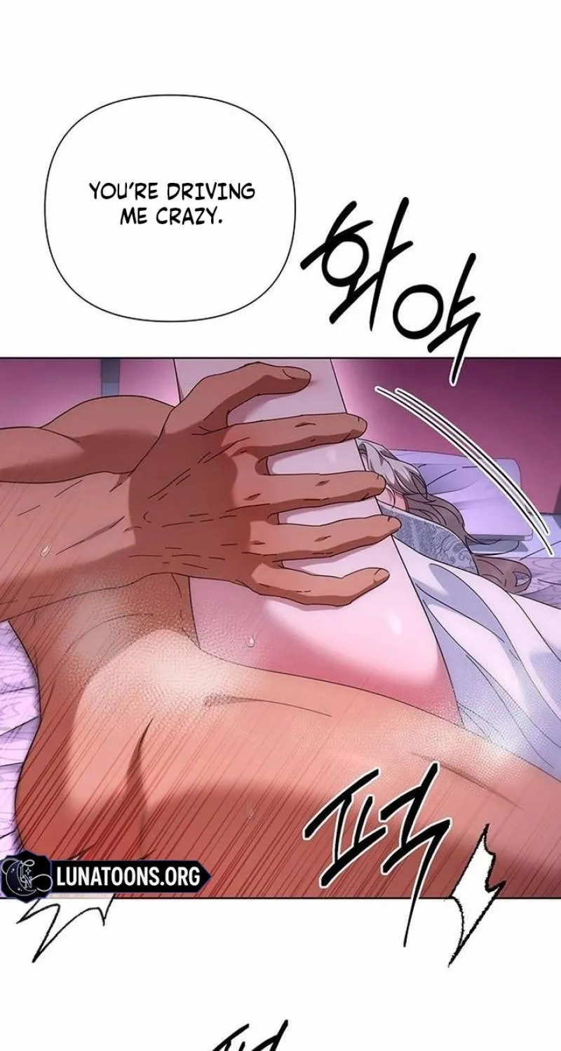 Read The Tutor