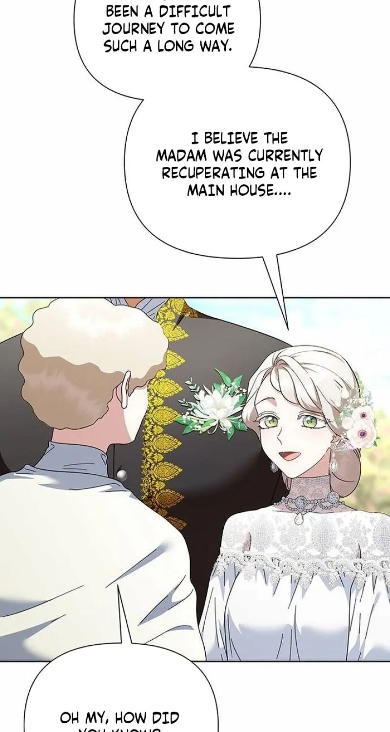 Read The Tutor