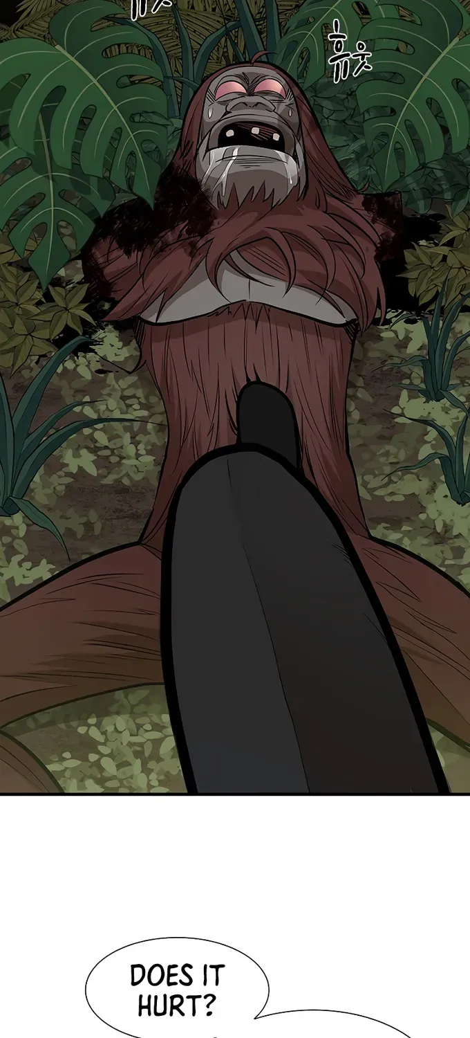 Read The Tutorial Is Too Hard chapter 54 image 28 on Lezhin