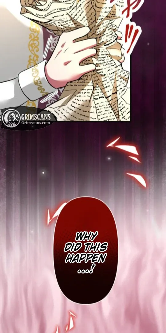Read The Two Faced Plundering Princess chapter 19 image 3 on Lezhin
