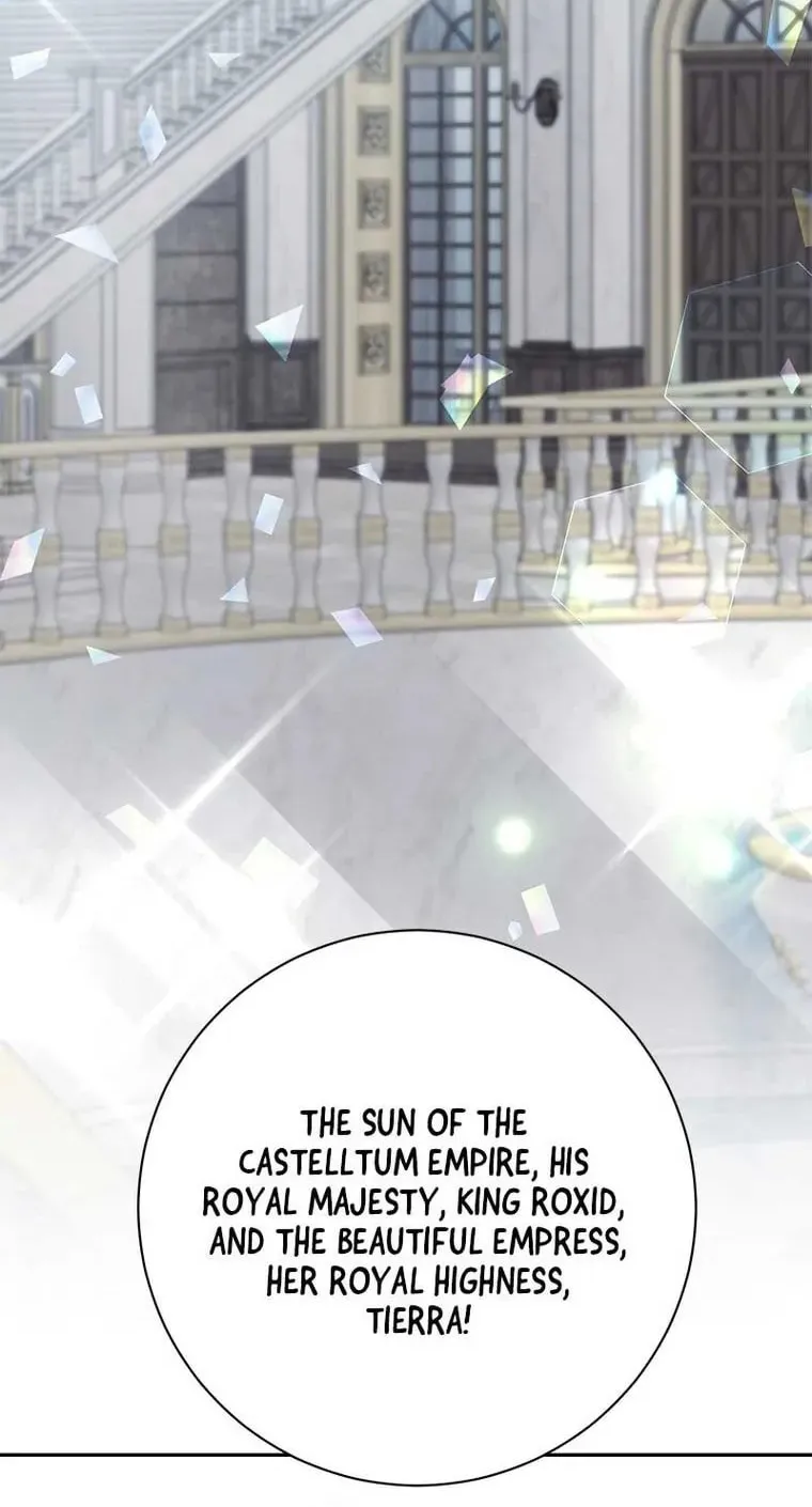 The Two-Faced Prince in Training Chapter 12 page 43 - 