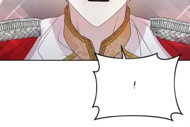 The Two-Faced Prince in Training Chapter 13 page 28 - 