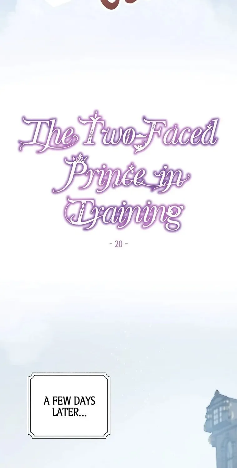 The Two-Faced Prince in Training Chapter 20 page 17 - 