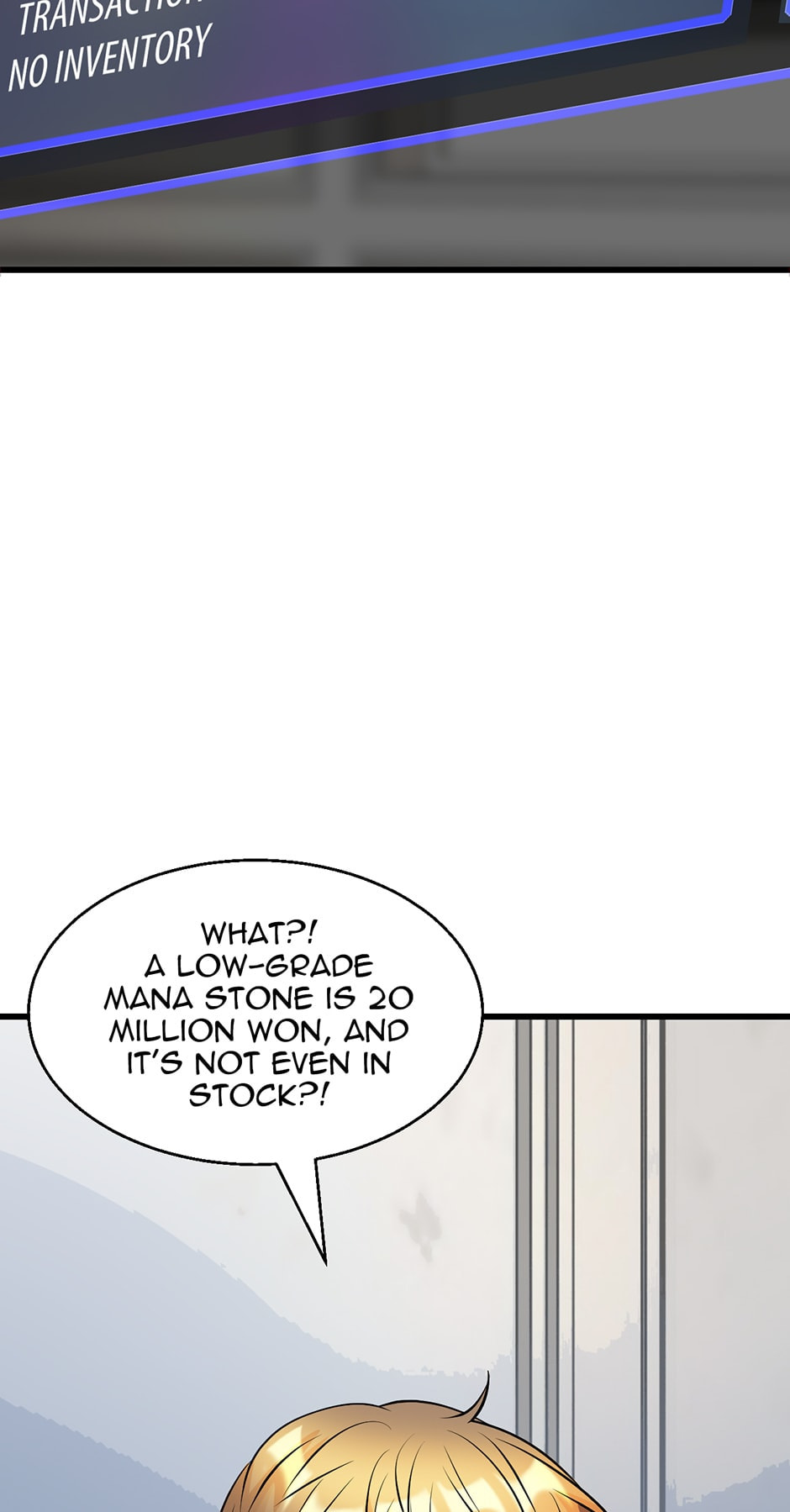 Read The Undefeated Newbie chapter 57 image 33 on Lezhin