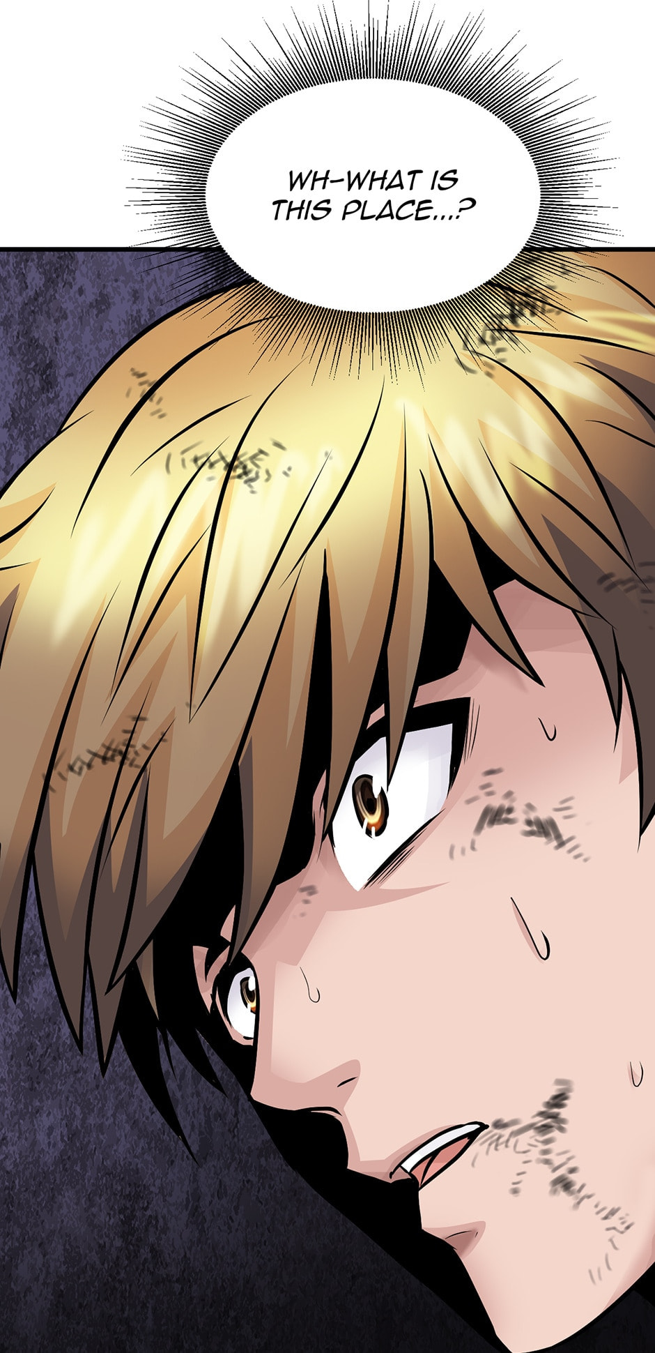 Read The Undefeated Newbie chapter 78 image 80 on Lezhin