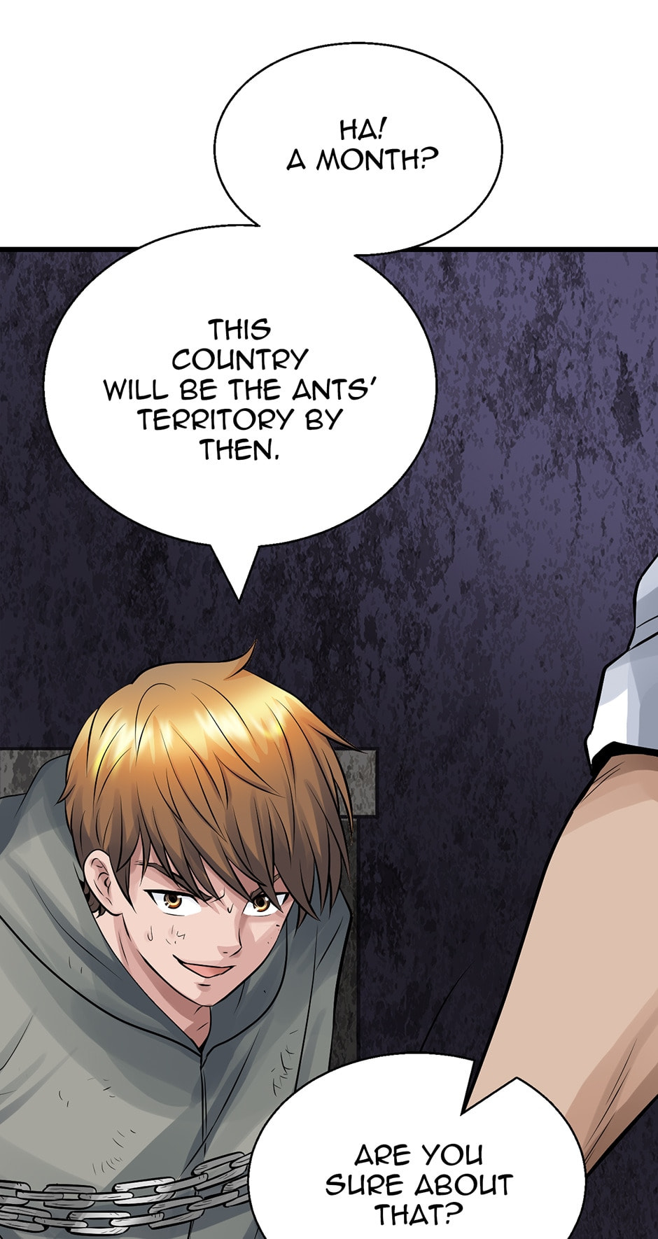 Read The Undefeated Newbie chapter 79 image 12 on Lezhin