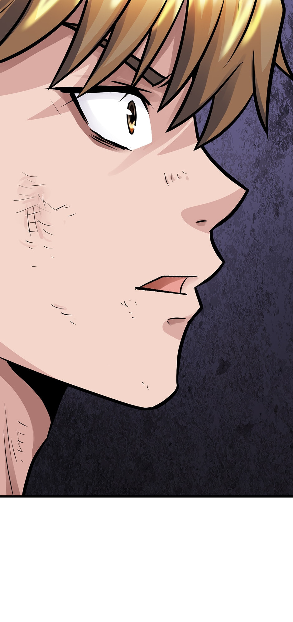 Read The Undefeated Newbie chapter 80 image 45 on Lezhin