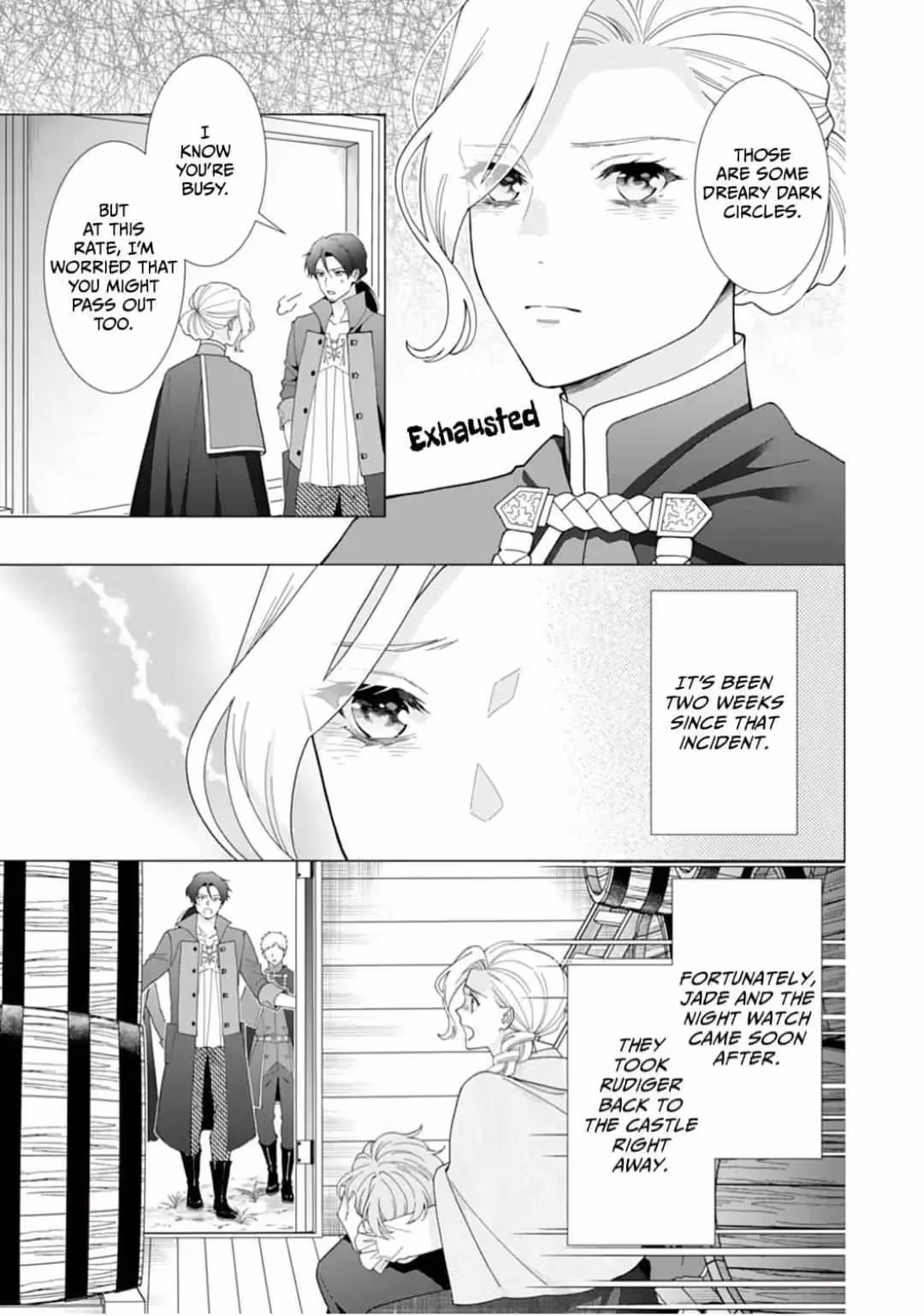 The Unwavering Possessive Love of the Stellar Knight Commander Chapter 17 page 3 - 