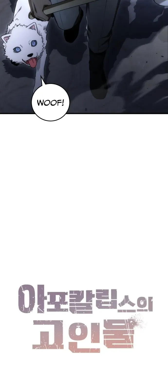 The Veteran Player of the Apocalypse Chapter 1 page 45 - 