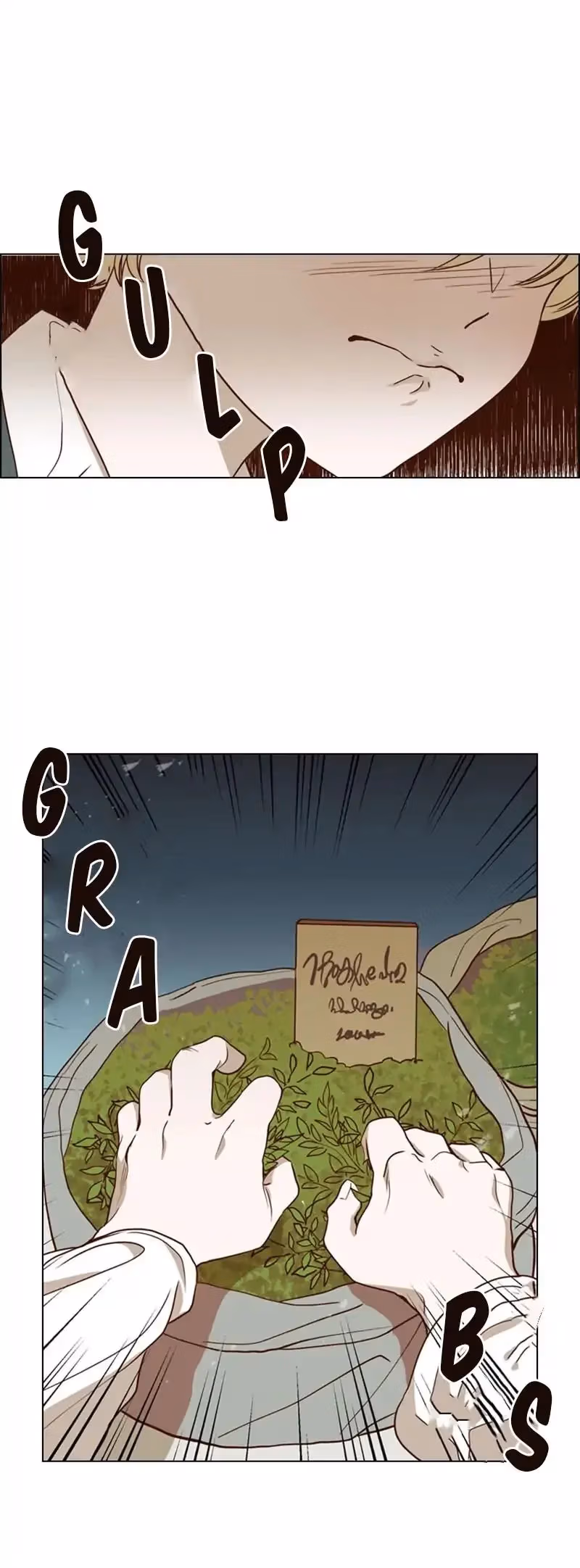 Read The Villain