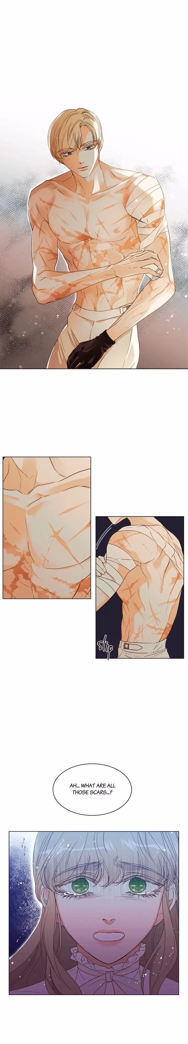 Read The Villain