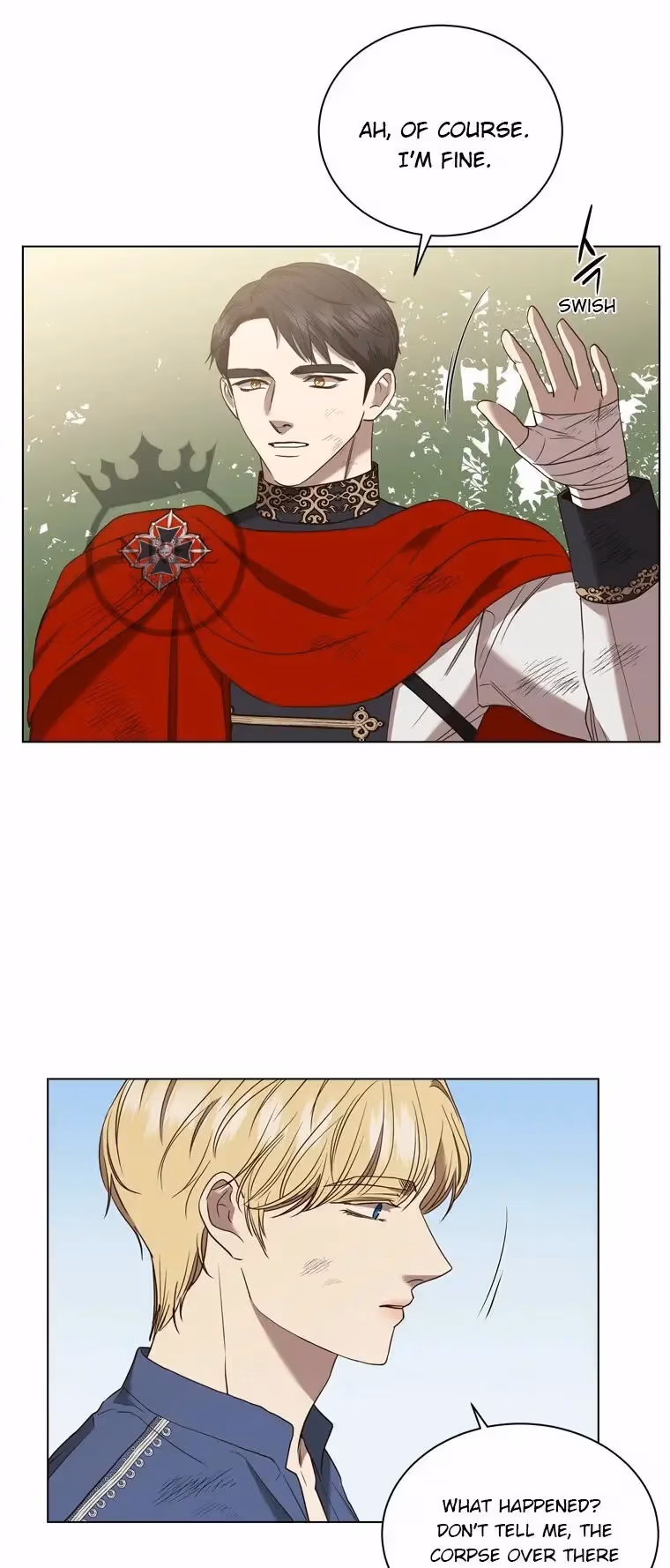 Read The Villain