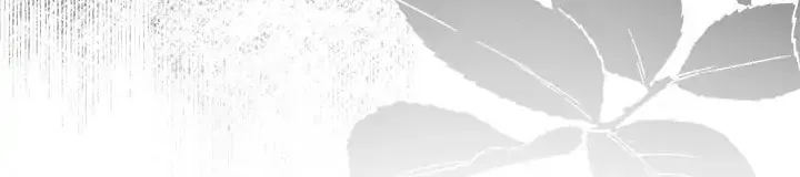 The Villainess Becomes the Leading Lady Chapter 123 page 63 - 
