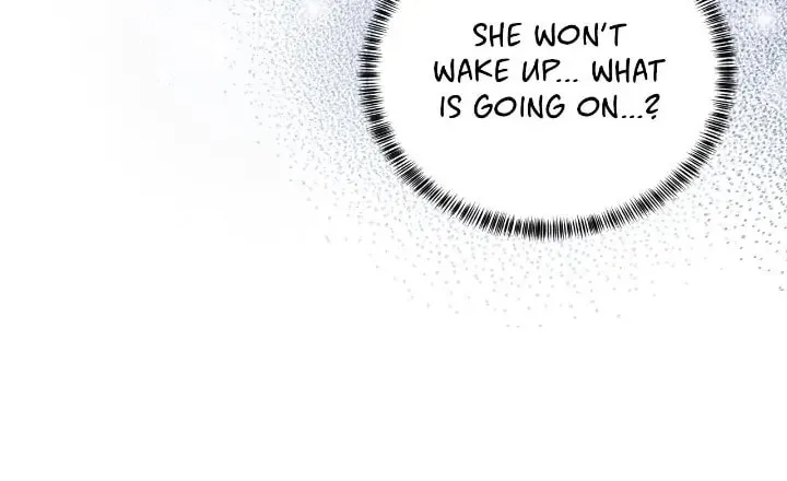 The Villainess Becomes the Leading Lady Chapter 95 page 17 - 