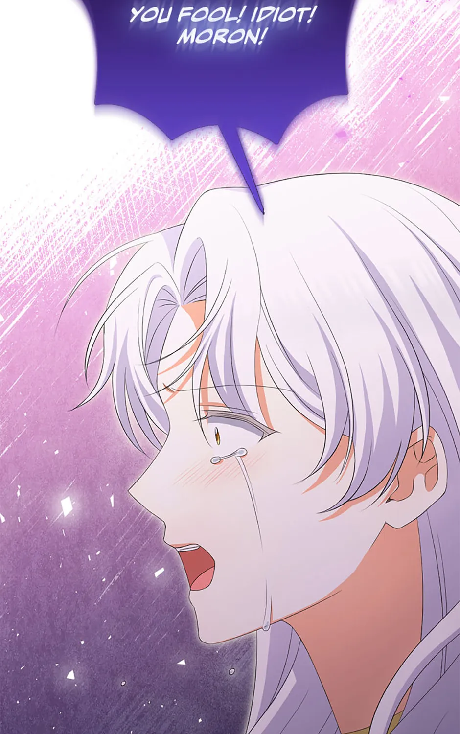 The Villainess's Daughter Chapter 94 page 13 - 