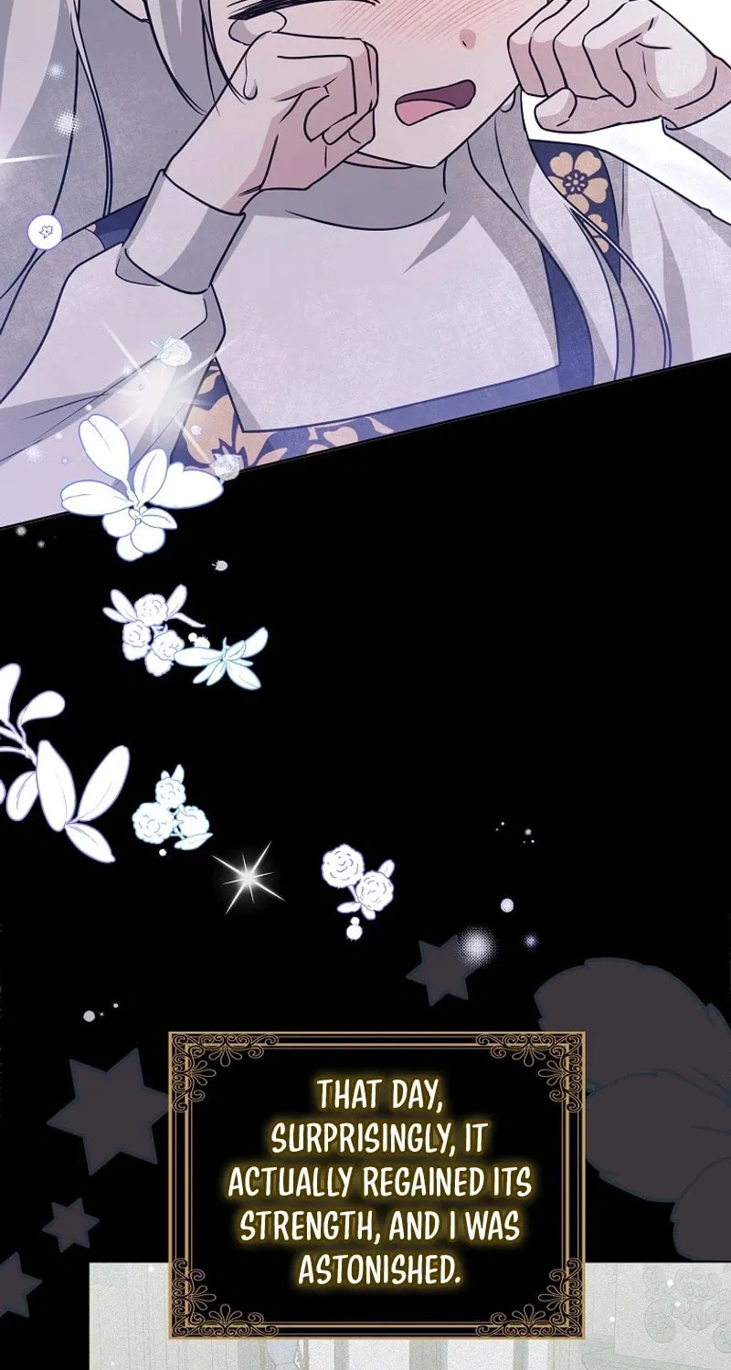The Villainess' Wise Retirement Plan Chapter 11 page 41 - 