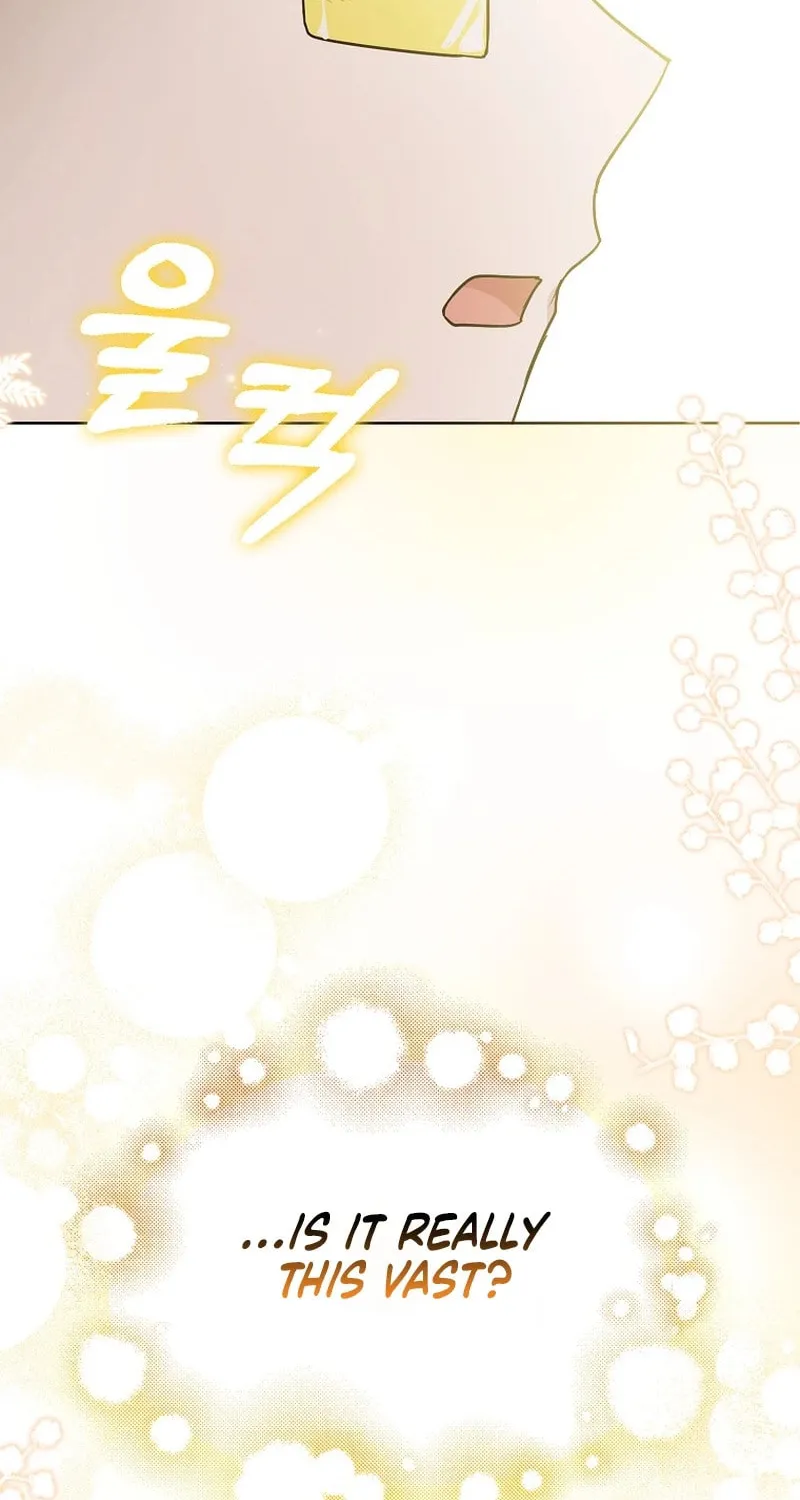 The Villainess' Wise Retirement Plan Chapter 19 page 65 - 