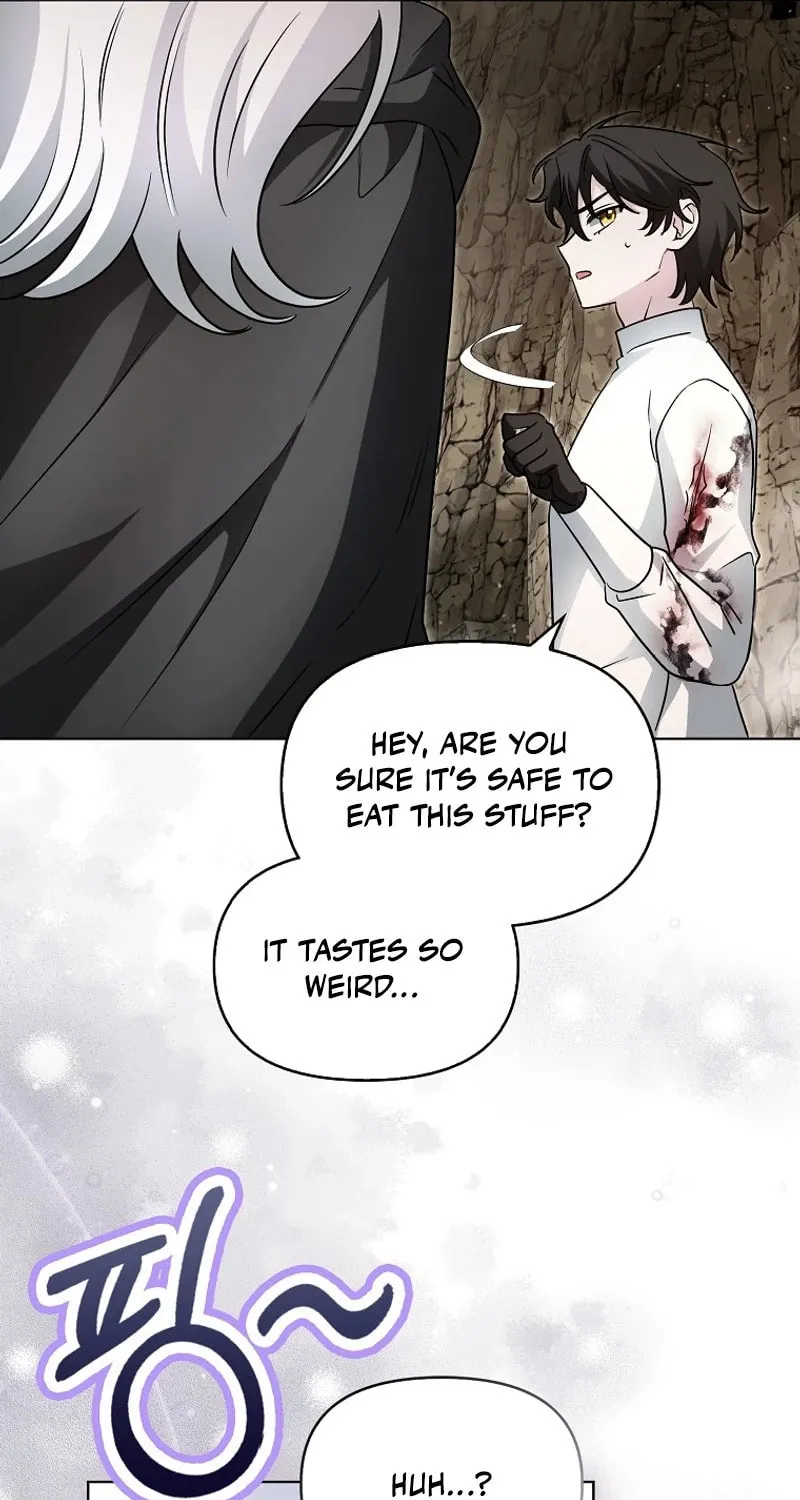The Villainess' Wise Retirement Plan Chapter 25 page 34 - 