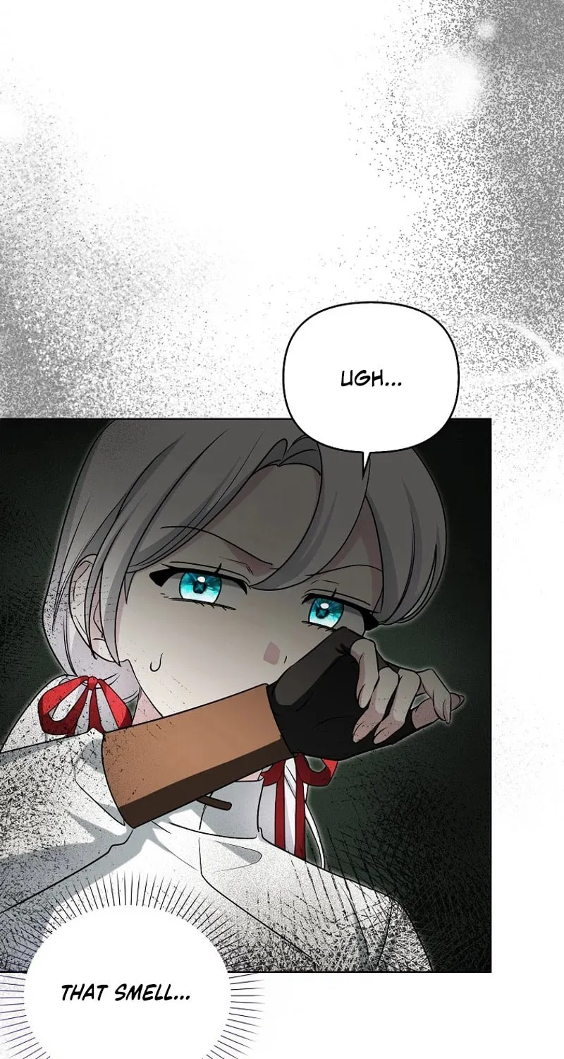 The Villainess' Wise Retirement Plan Chapter 31 page 62 - 