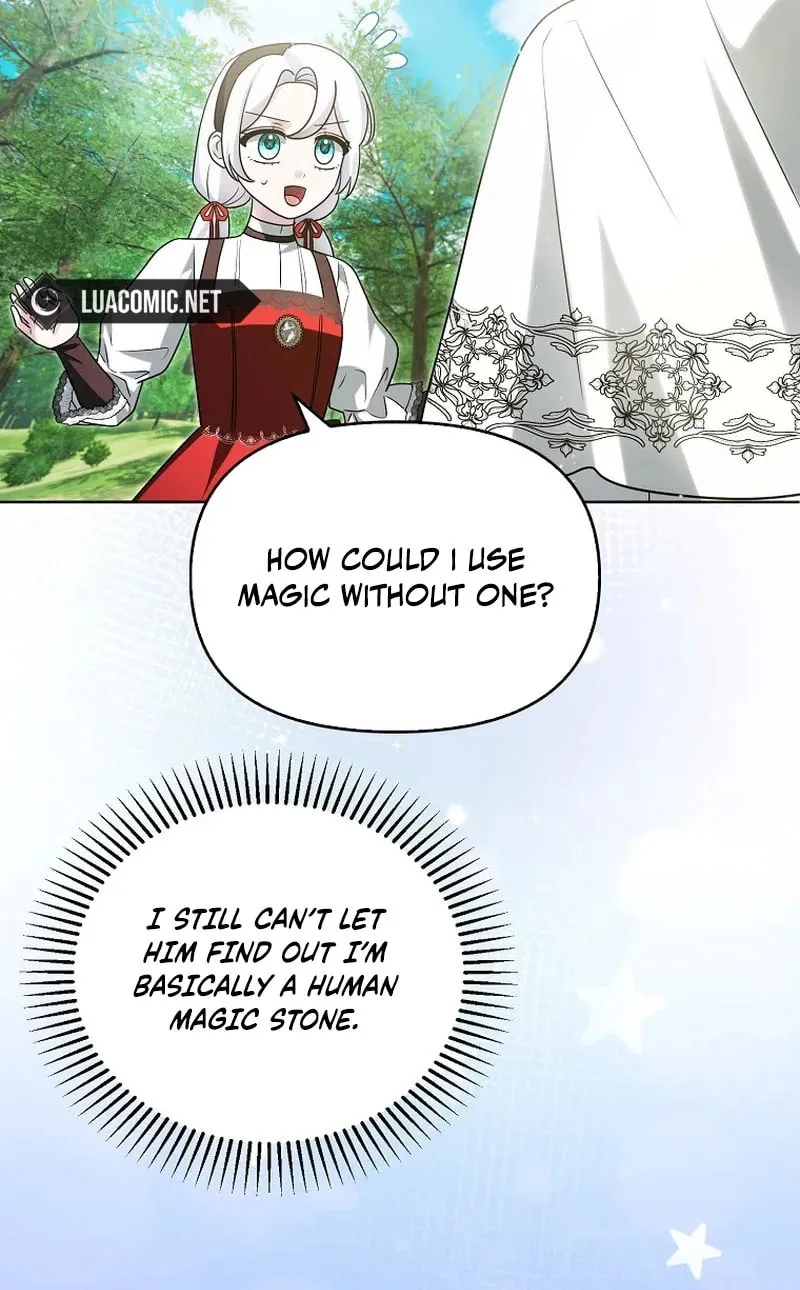 The Villainess' Wise Retirement Plan Chapter 33 page 29 - 
