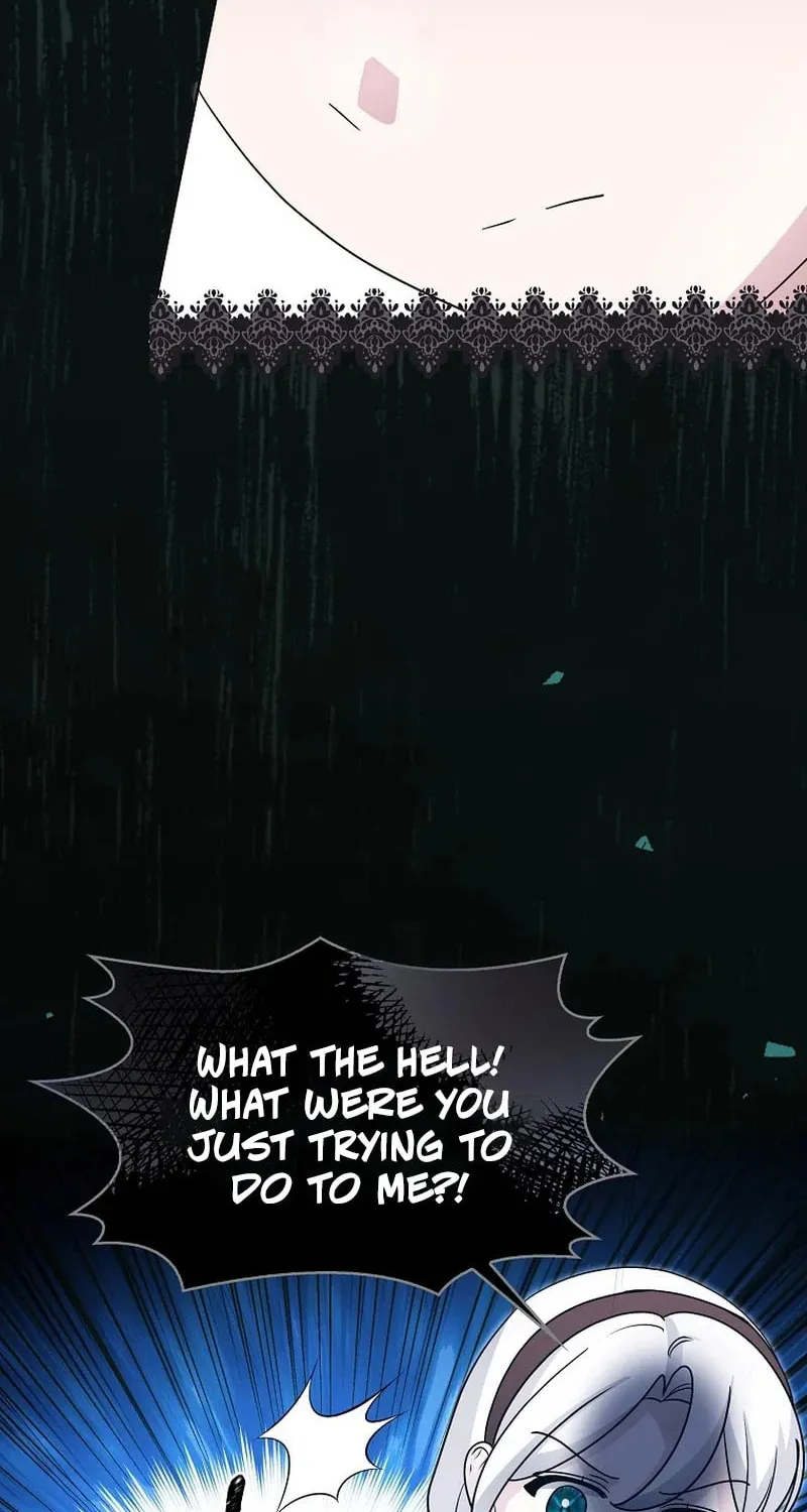 The Villainess' Wise Retirement Plan Chapter 33 page 45 - 