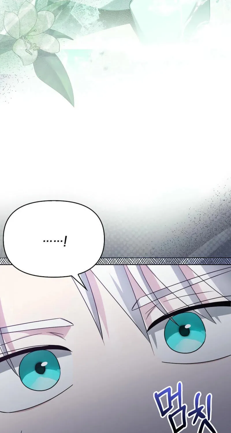 The Villainess' Wise Retirement Plan Chapter 34 page 31 - 