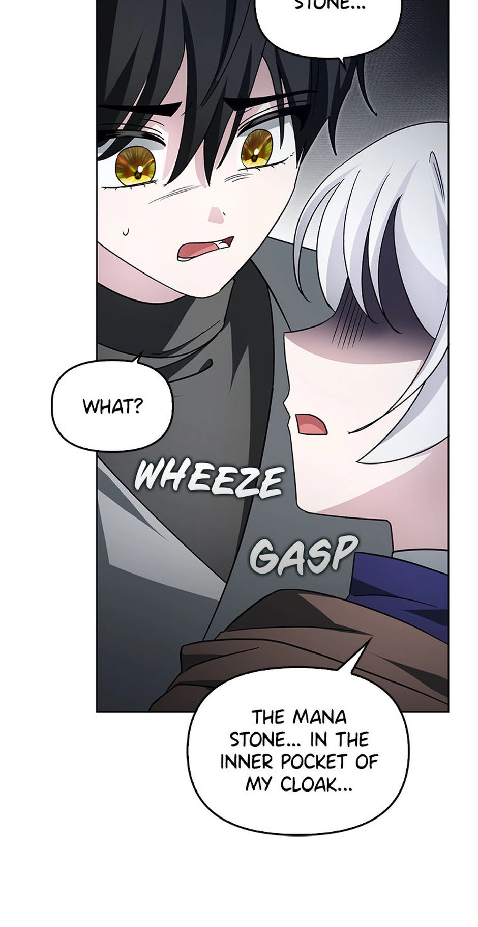 The Villainess' Wise Retirement Plan Chapter 47 page 9 - 
