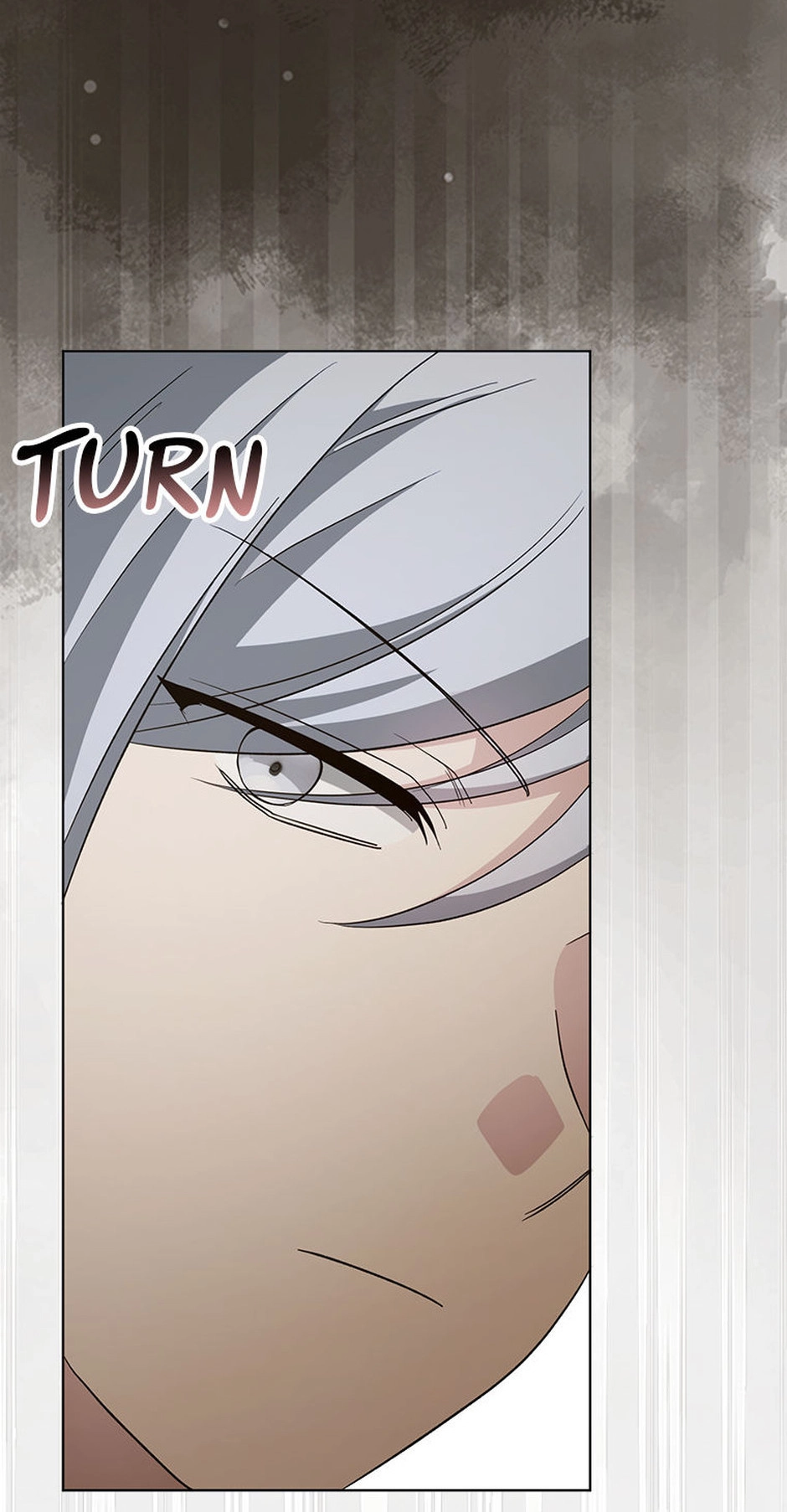 The Villainess' Wise Retirement Plan Chapter 55 page 12 - 