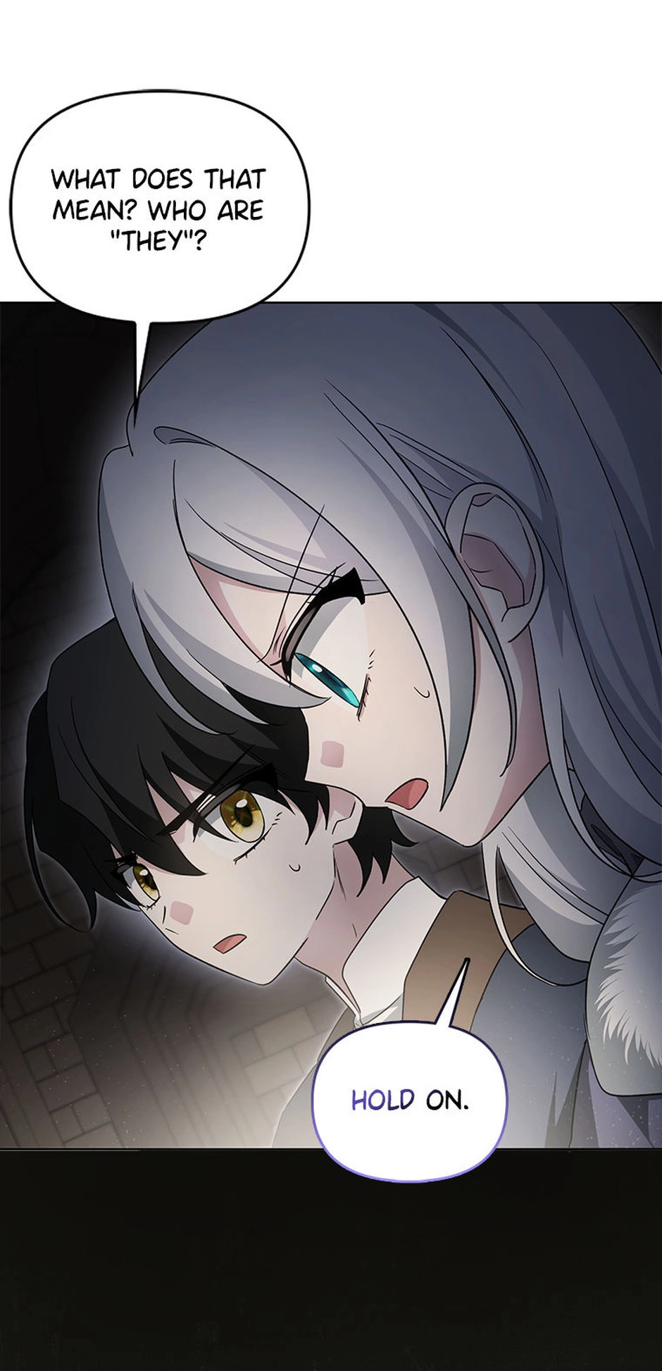 The Villainess' Wise Retirement Plan Chapter 59 page 49 - 