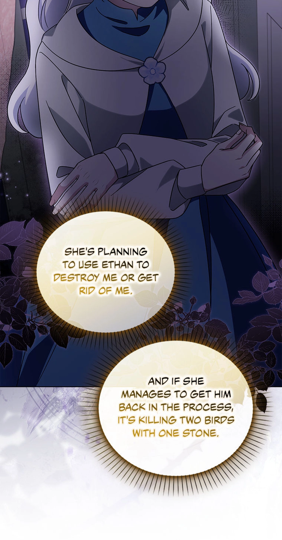 The Villainess' Wise Retirement Plan Chapter 63 page 25 - 