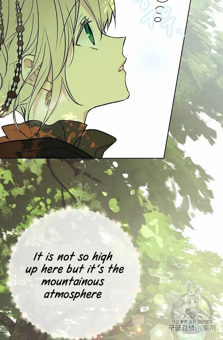 Read The Viridescent Crown chapter 27 image 39 on Lezhin