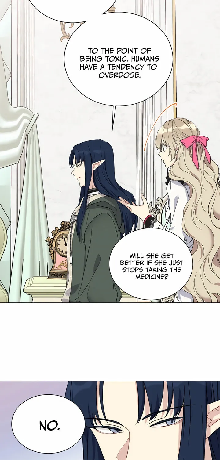 Read The Viridescent Tiara chapter 25 image 5 on Lezhin