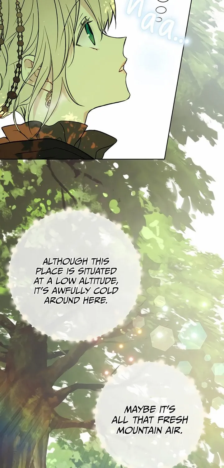 Read The Viridescent Tiara chapter 27 image 39 on Lezhin