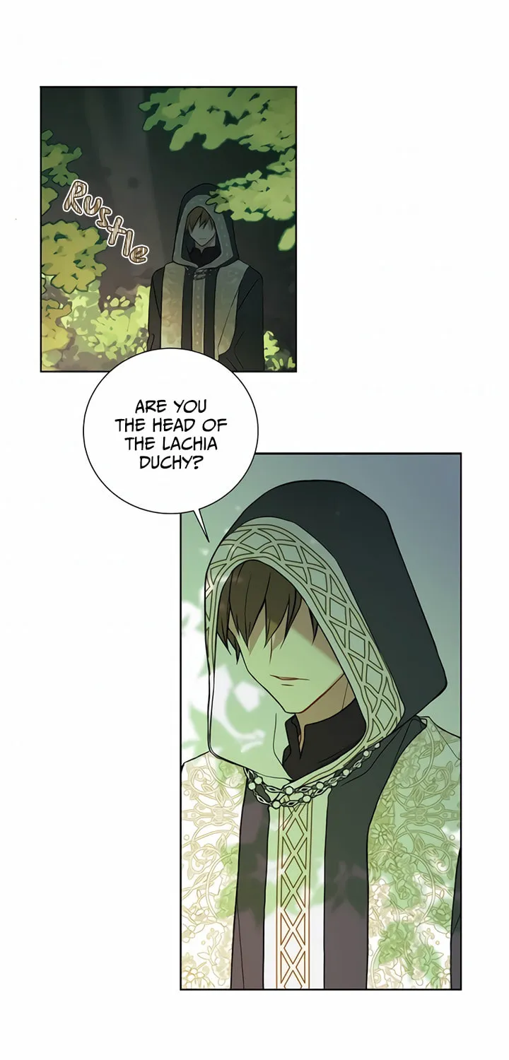 Read The Viridescent Tiara chapter 27 image 41 on Lezhin