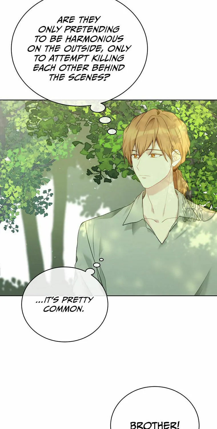 Read The Viridescent Tiara chapter 61 image 72 on Lezhin