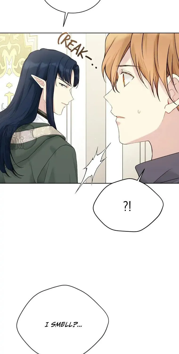 Read The Viridescent Tiara chapter 66 image 26 on Lezhin