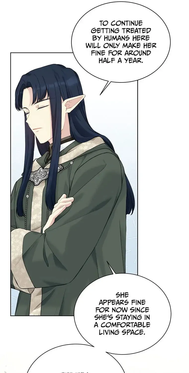 Read The Viridescent Tiara chapter 66 image 51 on Lezhin